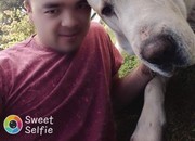 ���������� ������, ���� ������� ����, 29 ���, ������������ ��� ������, ����� � ���������, c�������� ���������