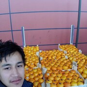  ,   , 29 ,   ,   