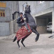 ���������� ������, ���� ����� ������, 24 ����, ������������ ��� ������, ����� � ���������