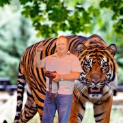 ���������� ������, ���� ������� ������, 71 ���, ������������ ��� ������, ����� � ���������, c�������� ���������