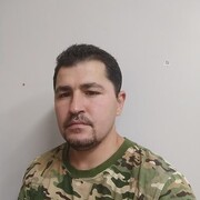 ���������� ������, ���� ������� FERNANDO, 31 ���, ������������ ��� ������, ����� � ���������