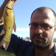  ,   , 41 ,   ,   