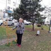  ,   , 71 ,   c , 