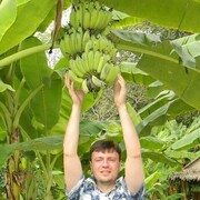 ���������� �������, ���� ������� �����, 44 ����, ������������ ��� ���������