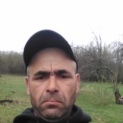  ,   , 46 ,   