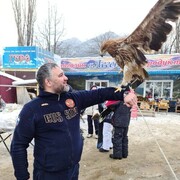 ���������� ����������, ���� ������� �����, 40 ���, ������������ ��� ������, ����� � ���������, c�������� ���������