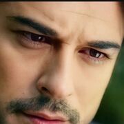 ���������� �������, ���� ������� ����, 36 ���, ������������ ��� ������, ����� � ���������