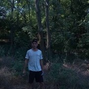  ,   , 31 ,   ,   