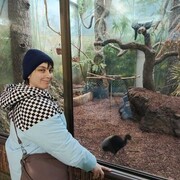 ���������� ����������, ������� �������, 38