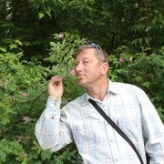  ,   , 55 ,   