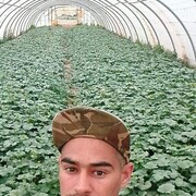 ���������� �������, ���� ������� Saad, 35 ���, ������������ ��� ������, ����� � ���������, c�������� ���������