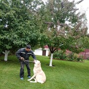  ,   , 52 ,   , 