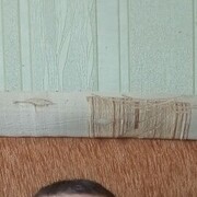 ���������� ������, ���� ������� ����, 38 ���, ������������ ��� ������, ����� � ���������