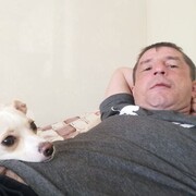   ,   , 42 ,   ,   