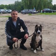 ���������� �����������-��-�����, ���� ������� �����, 38 ���, ������������ ��� ������, ����� � ���������, ���������