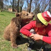 ���������� �����������, ���� ����� ���, 25 ���, ������������ ��� ������