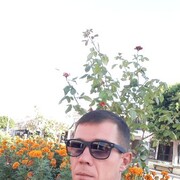  ,   , 41 ,   ,   