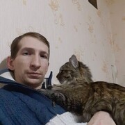 ���������� �����, ���� ������� �������, 38 ���, ������������ ��� ����� � ���������, c�������� ���������, ���������