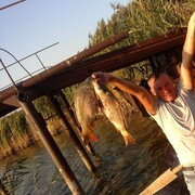 ���������� ����������, ���� ������� ������ ����, 49 ���, ������������ ��� ������, ����� � ���������, c�������� ���������