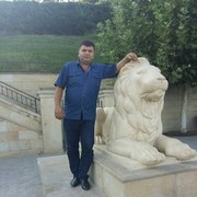  ,   Elcin, 48 ,   ,   , c 
