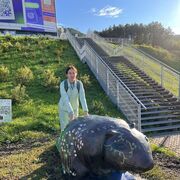 ���������� �����������, ���� ������� ����, 41 ���, ������������ ��� ����� � ���������, c�������� ���������, ���������