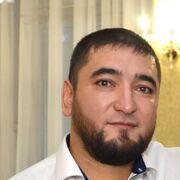  -,   Rustik, 36 ,     , c , 