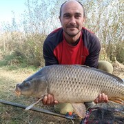 ���������� ��������, ���� ������� ����, 38 ���, ������������ ��� ������, ����� � ���������, ���������