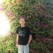 ���������� ���������, ���� ������� �������, 77 ���, ������������ ��� ������, ����� � ���������, c�������� ���������