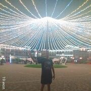 ���������� ���, ���� ������� �������, 43 ����, ������������ 