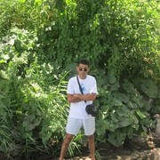  ,   , 46 ,   ,   , c 