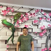 ���������� ��������, ���� ������� ����, 34 ����, ������������ ��� c�������� ���������