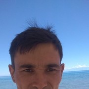  ,   Sherzod, 37 ,   ,   , c 