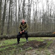 ���������� ������, ���� ������� ����, 37 ���, ������������ ��� ����� � ���������, c�������� ���������, ���������