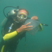 ���������� �����������, ���� ������� �ot, 55 ���, ������������ 