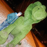 ���������� ������������, ���� ������� ��������, 33 ����, ������������ ��� ������, ����� � ���������, c�������� ���������