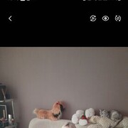 ���������� ������������, ���� ������� �����, 53 ����, ������������ ��� c�������� ���������