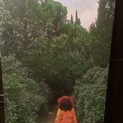 ���������� �������, ���� ������� �������, 52 ����, ������������ ��� ������, ����� � ���������