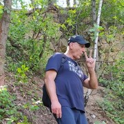  Zywiec,   , 54 ,   ,   , c , 