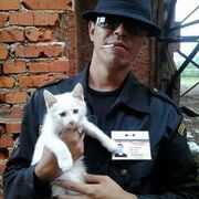  ,   , 41 ,     , c , 