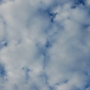 ���������� �����������, ���� ������� ������, 43 ����, ������������ ��� ������