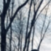 ���������� ����������, ���� ����� Nikita, 25 ���, ������������ ��� ������, ����� � ���������, c�������� ���������