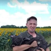 ���������� ����, ���� ������� ������, 43 ����, ������������ ��� ������, ����� � ���������, c�������� ���������, ���������