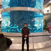 ���������� ������, ���� ������� �����, 33 ����, ������������ ��� ������, ����� � ���������