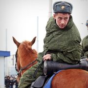 ���������� ���������� �����, ���� ������� Almaz, 38 ���, ������������ ��� ������, ����� � ���������