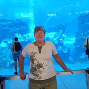 ���������� �������, ���� ������� ����, 57 ���, ������������ ��� c�������� ���������