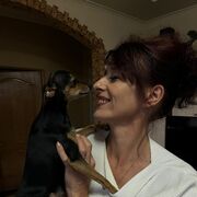  ,   , 46 ,   ,   
