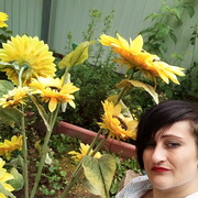 ���������� �������, ���� ������� �������, 37 ���, ������������ ��� ������, ���������