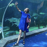 ���������� �����, ���� ������� ������, 38 ���, ������������ ��� ������, ����� � ���������, c�������� ���������