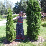 ���������� �����, ���� ������� ���, 55 ���, ������������ ��� ������, ����� � ���������, c�������� ���������