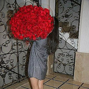  ,   Su4ka, 33 ,   , 